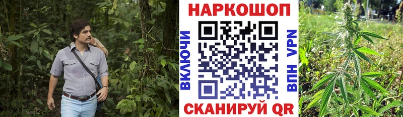 Купить наркоту Волгодонск Alpha-PVP  Мефедрон  Бошки Шишки  Амфетамин  КОКАИН 