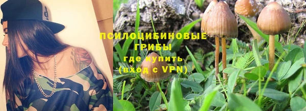 apvp Алексеевка
